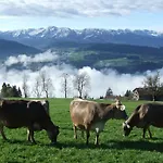 Haus Adlerhorst Lejlighedshotel Sulzberg (Bregenz)